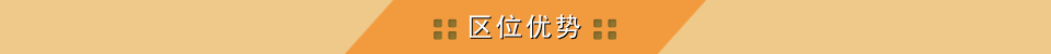 λ